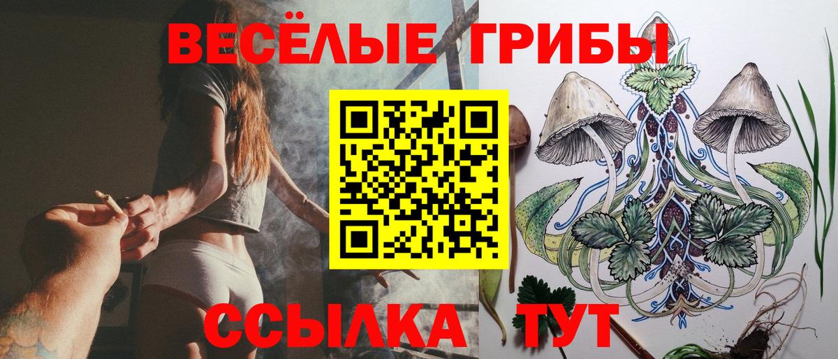 Псилоцибиновые грибы MAGIC MUSHROOMS Карталы