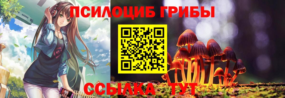 Галлюциногенные грибы Cubensis  Псилоцибиновые грибы Magic Shrooms  Карталы  Вход с VPN 