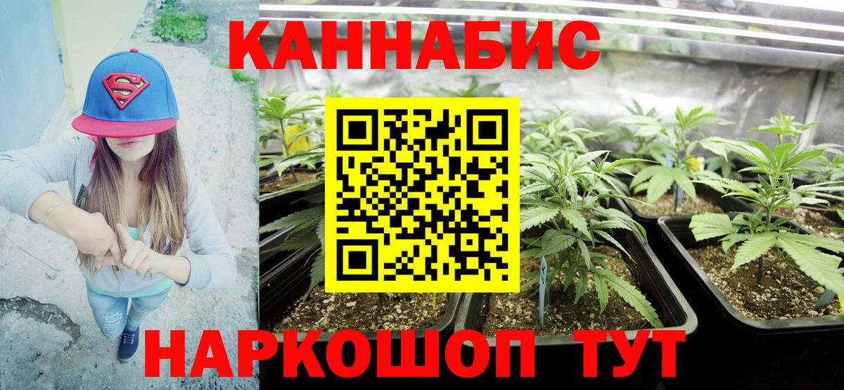 Бошки Шишки THC 21%  Конопля гибрид  Каннабис Bruce Banner  Шишки марихуана Amnesia  Карталы  Вход с VPN 